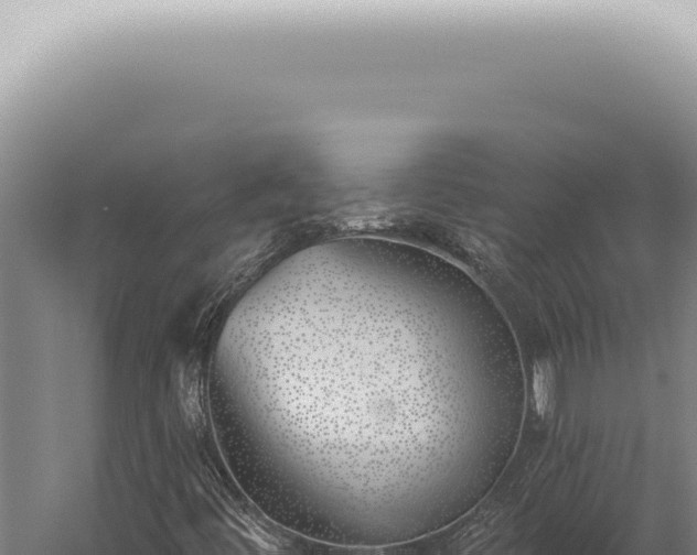 X0000059821444200510281719