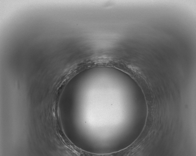 X0000059821445200510281719