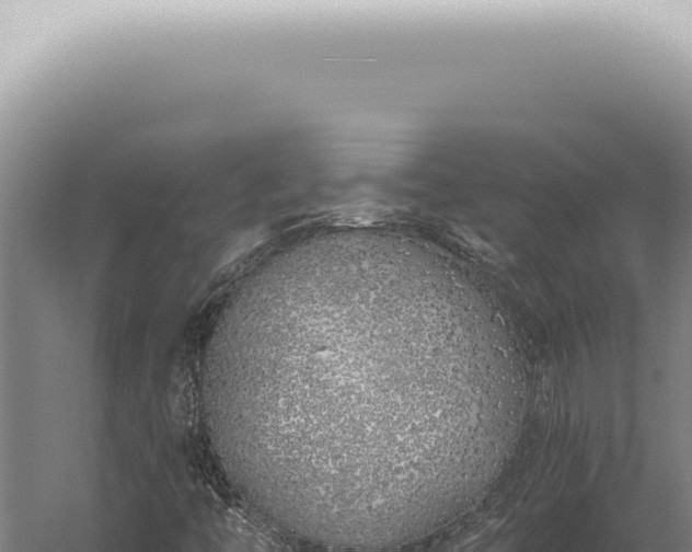 X0000059821446200510281719