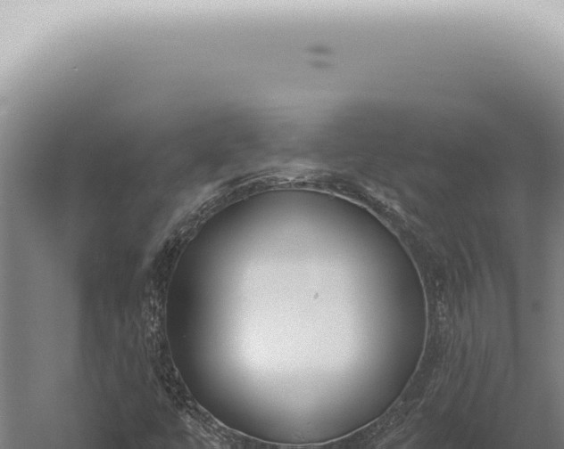 X0000059821447200510281719