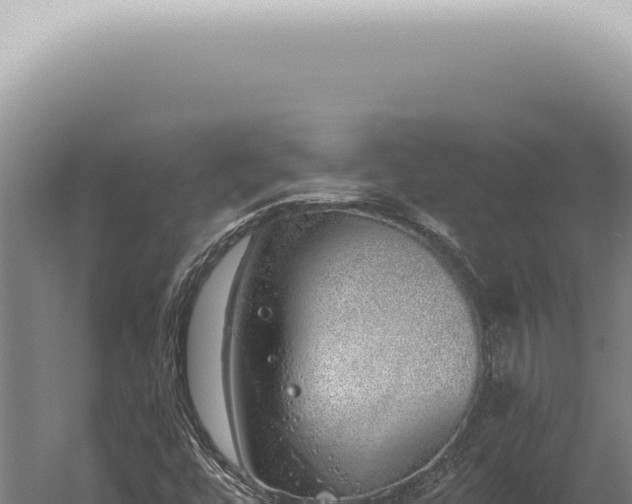 X0000059821448200510281719