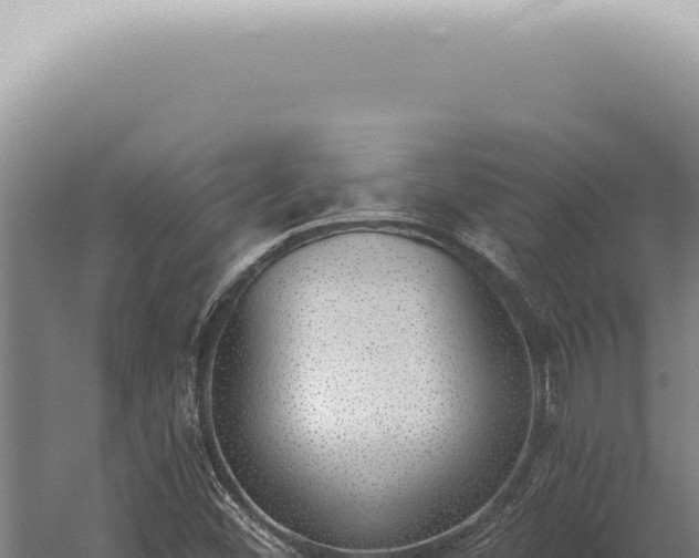 X0000059821452200510281719