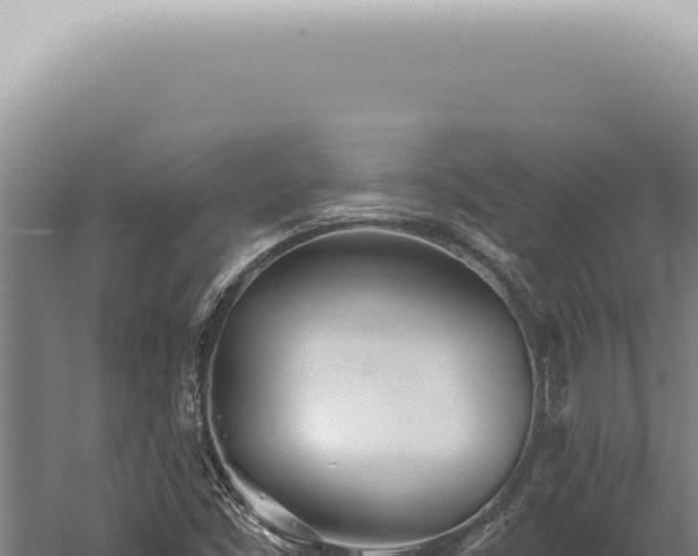 X0000059821453200510281719