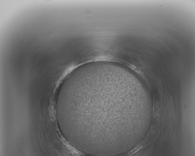 X0000059821454200510281719