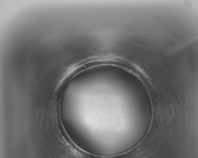 X0000059821456200510281719