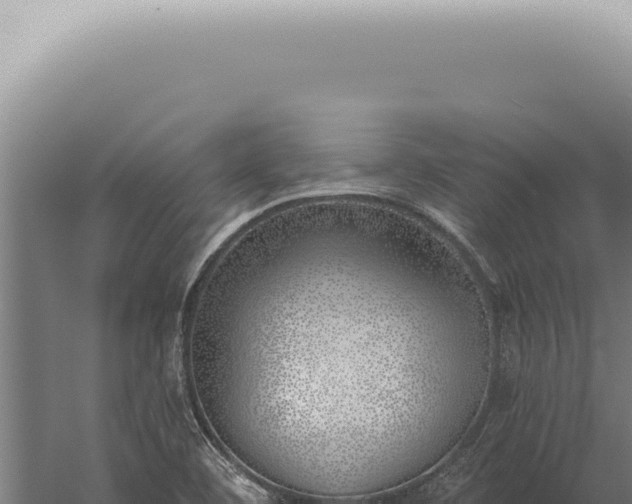 X0000059821460200510281719