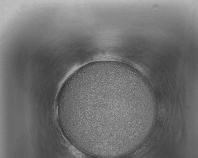 X0000059821462200510281719