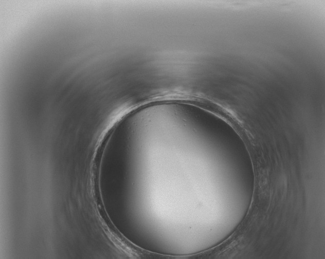 X0000059821463200510281719