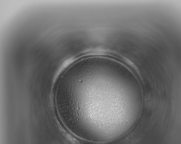 X0000059821464200510281719