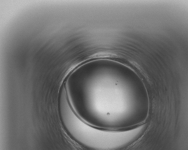 X0000059821465200510281719