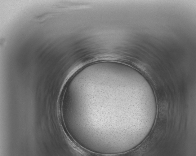 X0000059821466200510281719