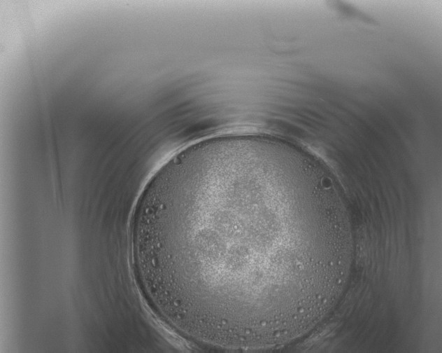 X0000059821467200510281719