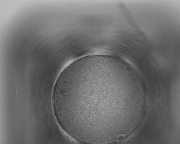 X0000059821471200510281719