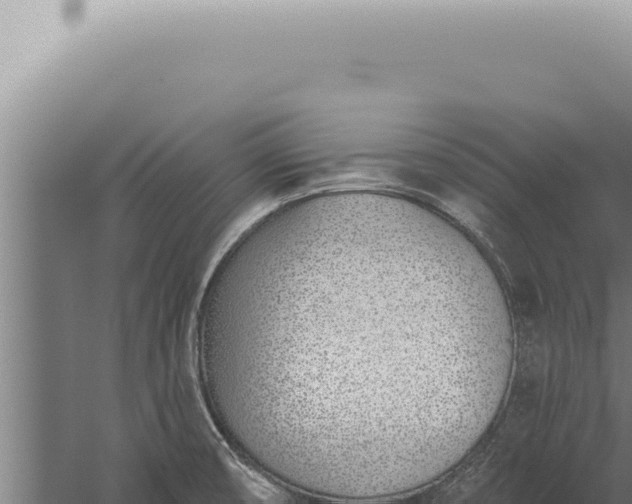 X0000059821474200510281718