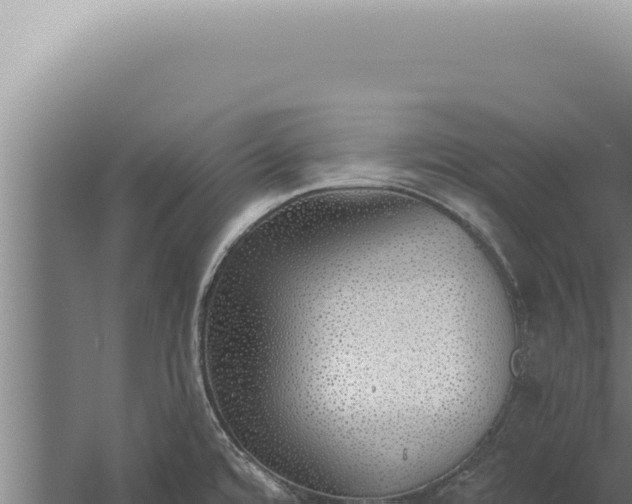 X0000059821480200510281718