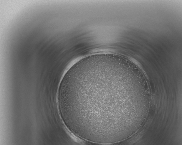 X0000059821482200510281718