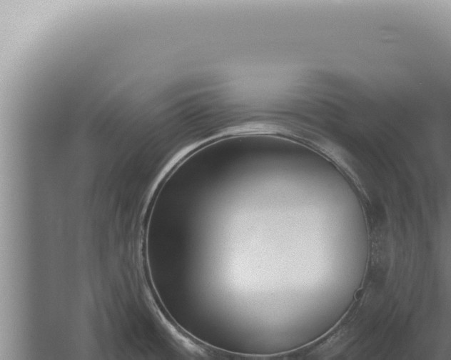 X0000059821484200510281718