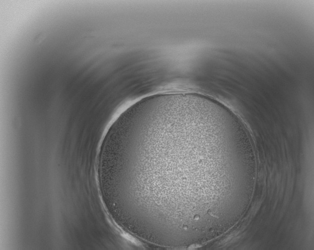 X0000059821486200510281718