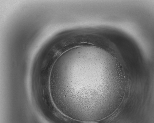 X0000059821487200510281718