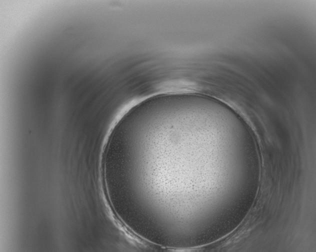 X0000059821488200510281718