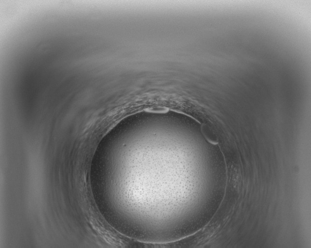 X0000059821489200510281717