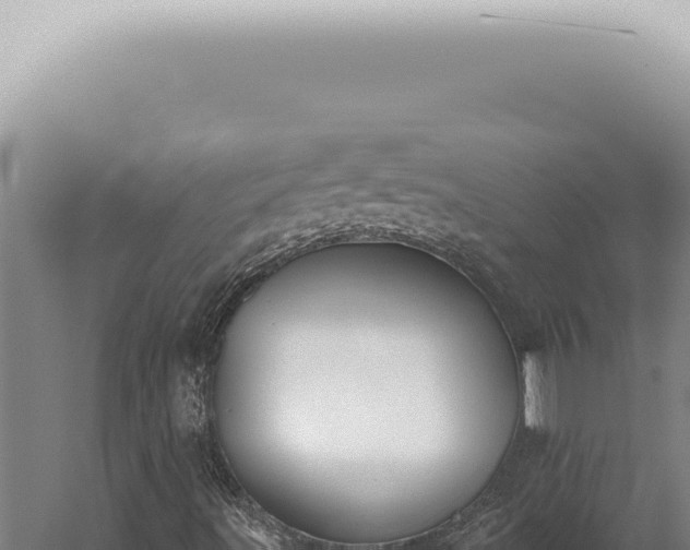 X0000059821491200510281717