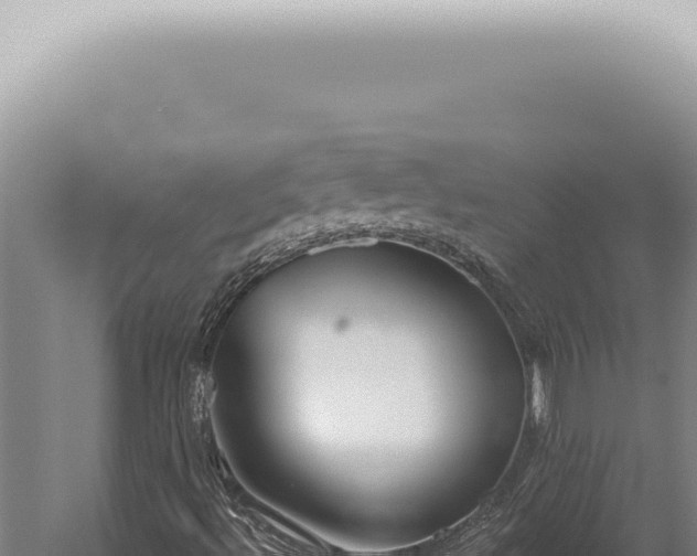 X0000059821492200510281717