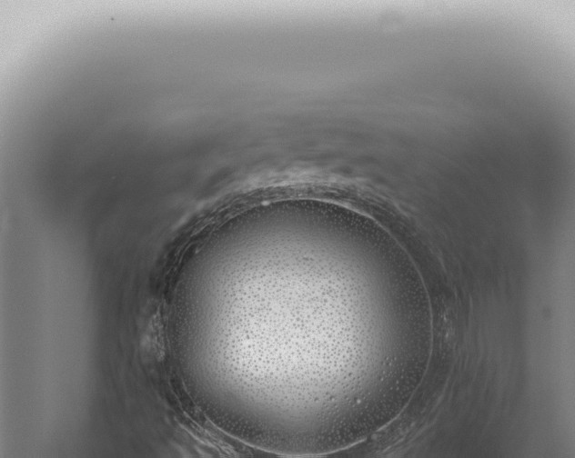 X0000059821493200510281718