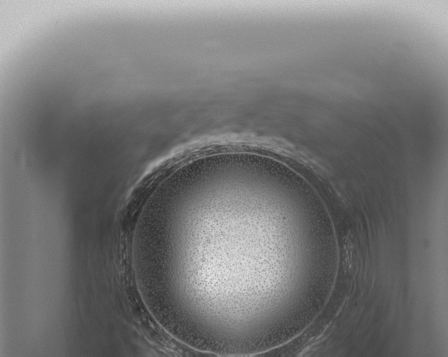 X0000059821494200510281718