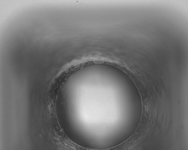 X0000059821495200510281718