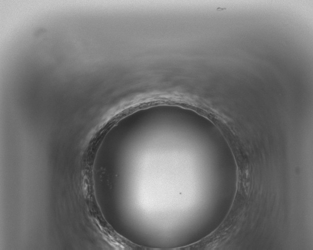 X0000059821496200510281718