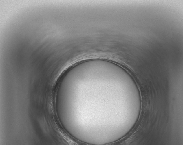 X0000059821498200510281718