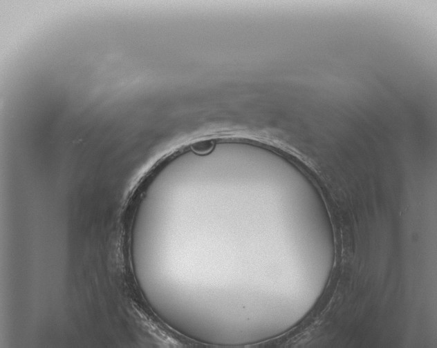 X0000059821502200510281718