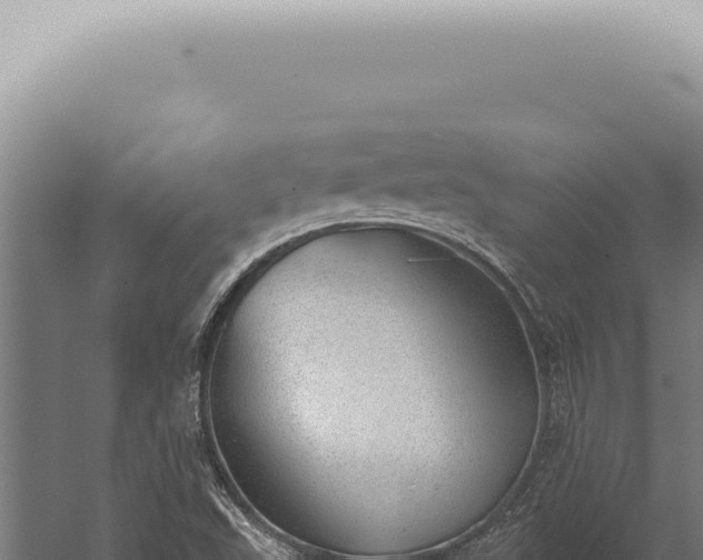 X0000059821503200510281718