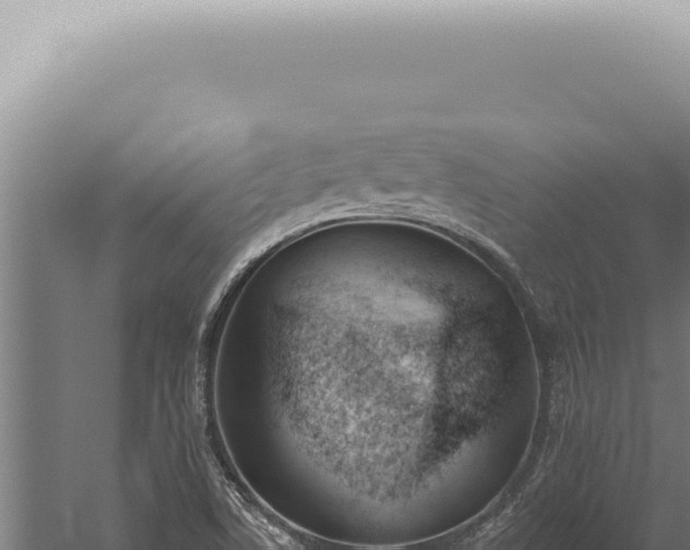 X0000059821506200510281718