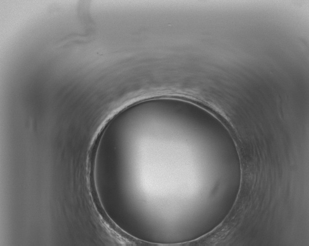 X0000059821508200510281718