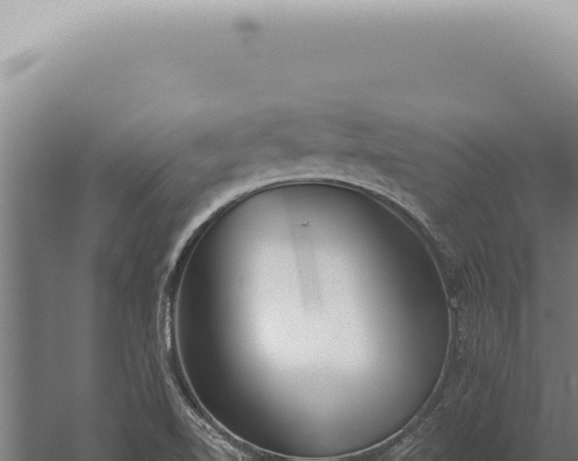 X0000059821510200510281718