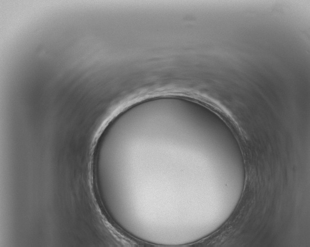 X0000059821512200510281718