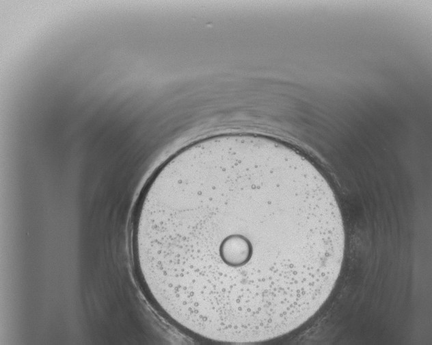 X0000059821514200510281718