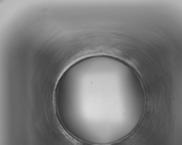 X0000059821516200510281718