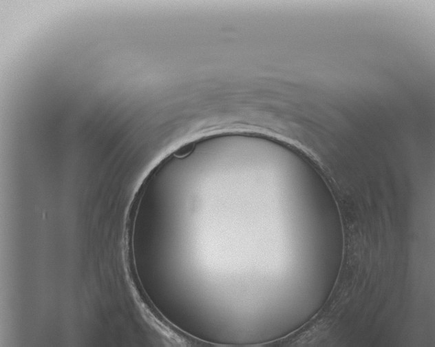 X0000059821518200510281718