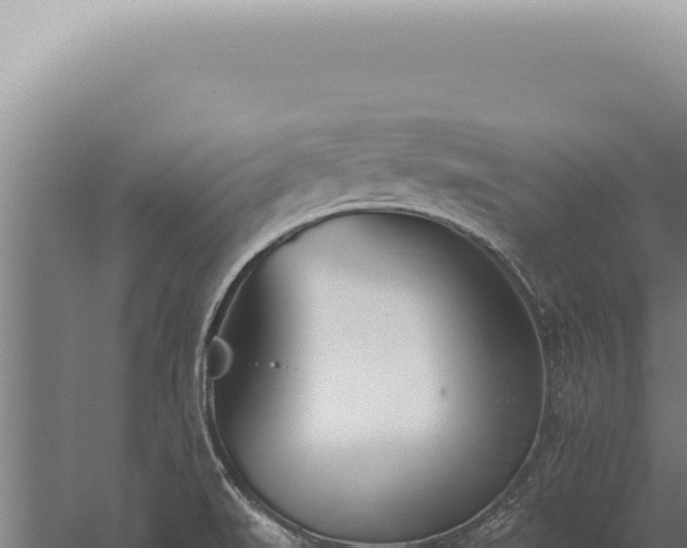 X0000059821519200510281718