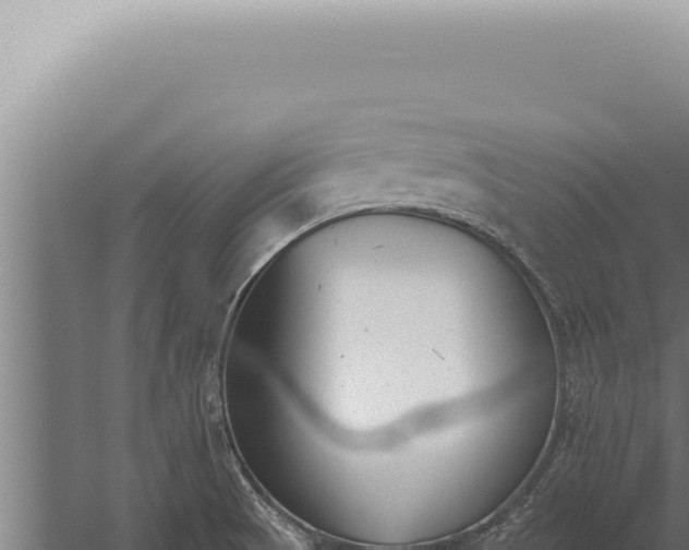 X0000059821521200510281718