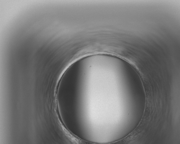 X0000059821524200510281718