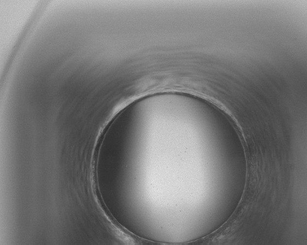 X0000059821525200510281718