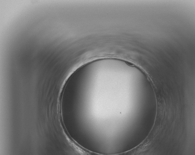 X0000059821527200510281718