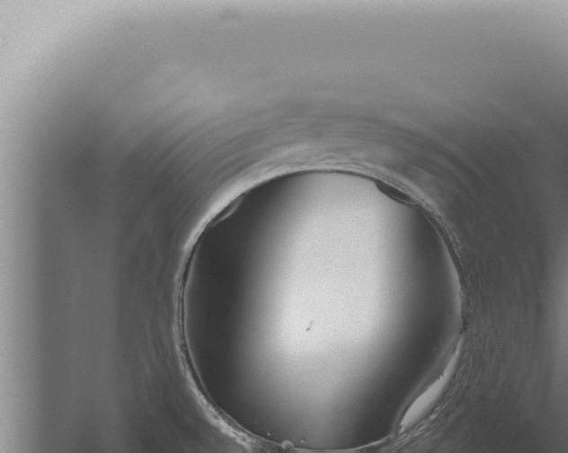 X0000059821528200510281718