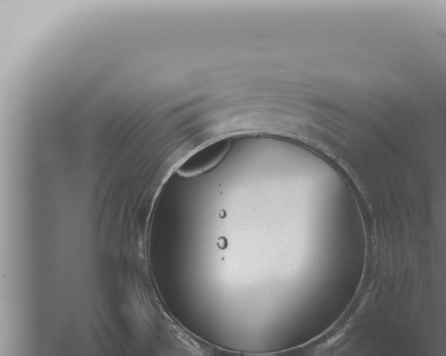 X0000059821529200510281718