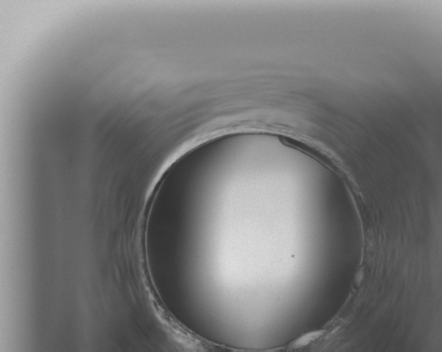 X0000059821530200510281718