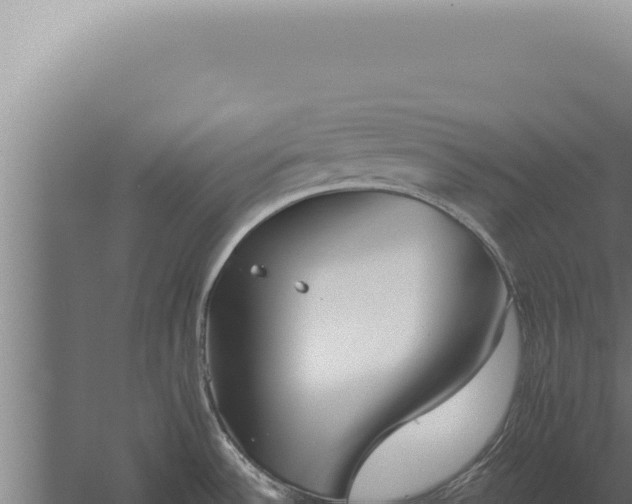 X0000059821532200510281718